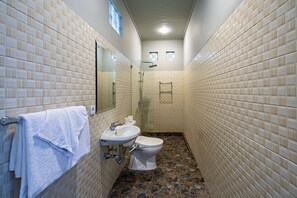 Ducha, cabezal de ducha tipo lluvia, secador de pelo, toallas