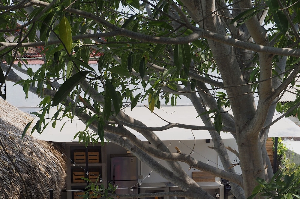 Colorada House - Hostel