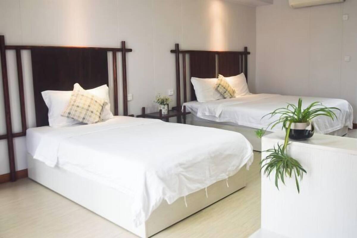 A hotel room with two beds, each with a wooden headboard, white bedding, and a small bedside table with a plant.