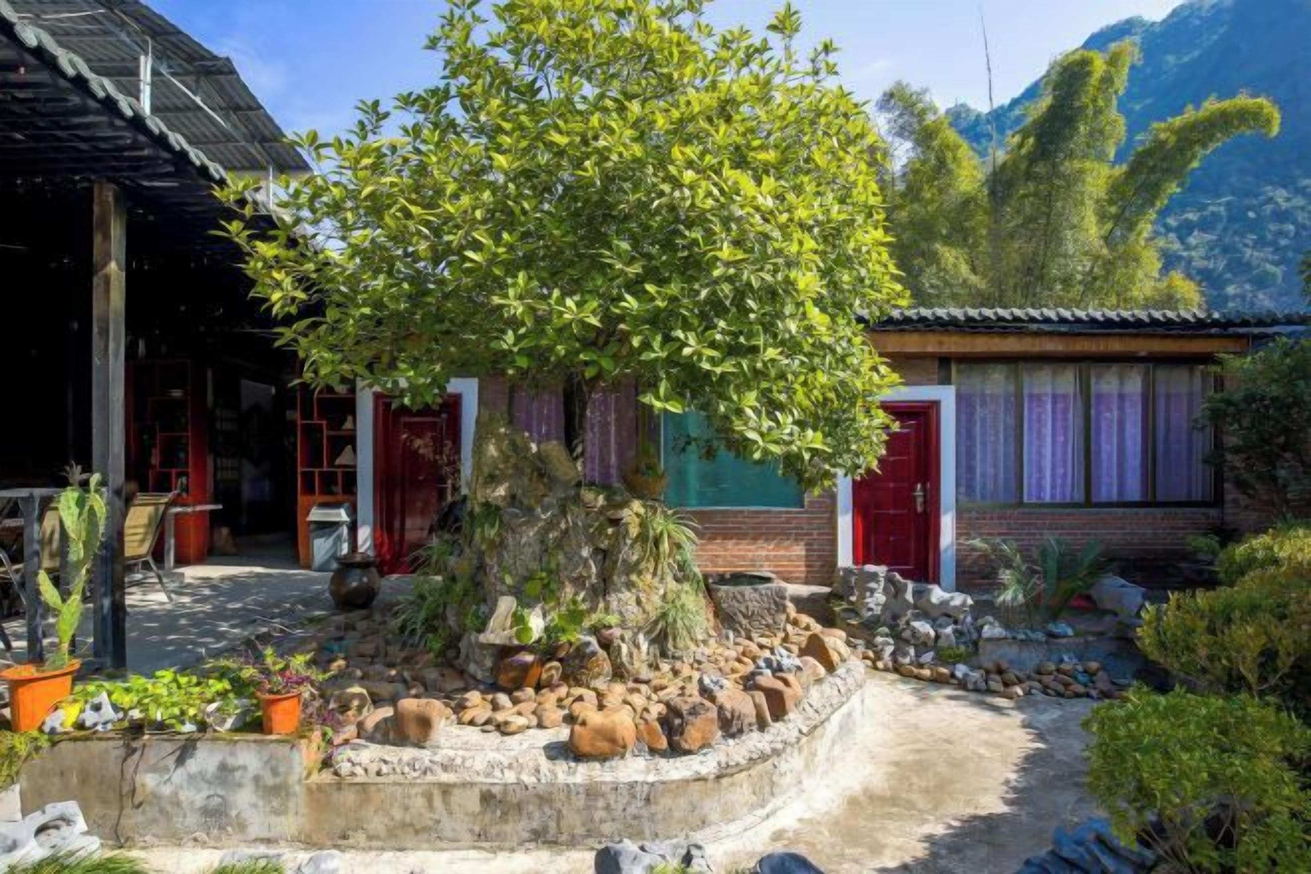 Una casa tradicional con un árbol grande en el centro, rodeada por un sendero de piedra y diversas plantas.
