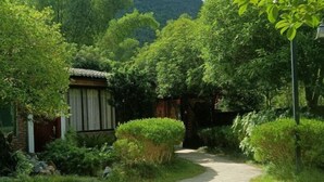 A pathway through a lush garden with dense foliage and a small building with a tiled roof. - Yangshuo Xingping Our Inn-Near 20 Yuan Background (Yangshuo)