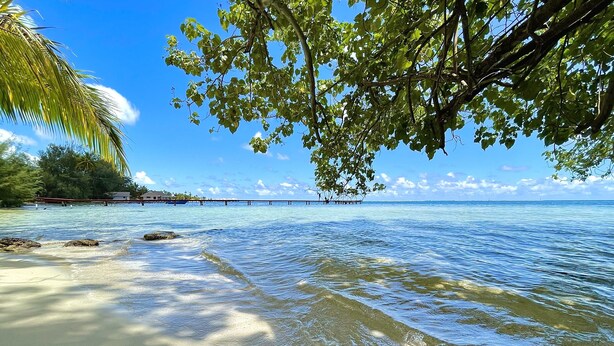 Une plage à l’eau claire, une jetée en bois et des palmiers.