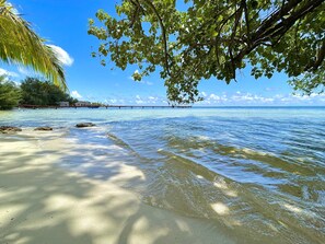 A beach with clear water, a wooden pier, and palm trees.