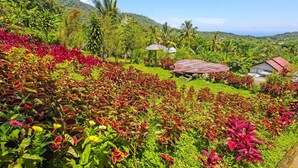 A lush garden with vibrant red foliage, a thatched-roof structure, and a hillside backdrop. - OYO 92419 Rejeng Homestay Near Kerta Gangga Waterfall (Gangga)