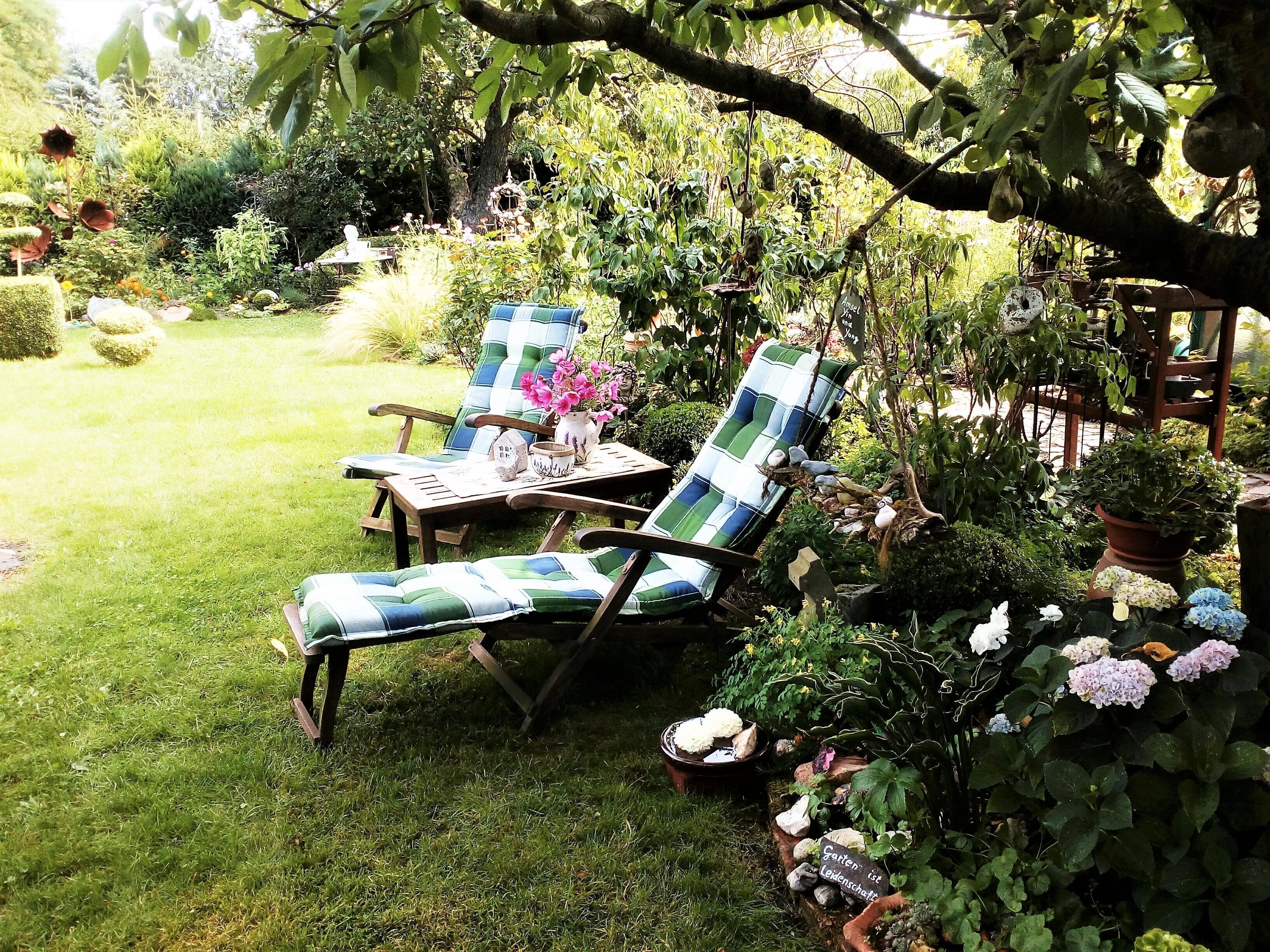 Liegewiese im Garten