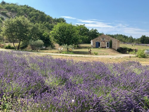 Quiet little cottage in the middle of lavender fields