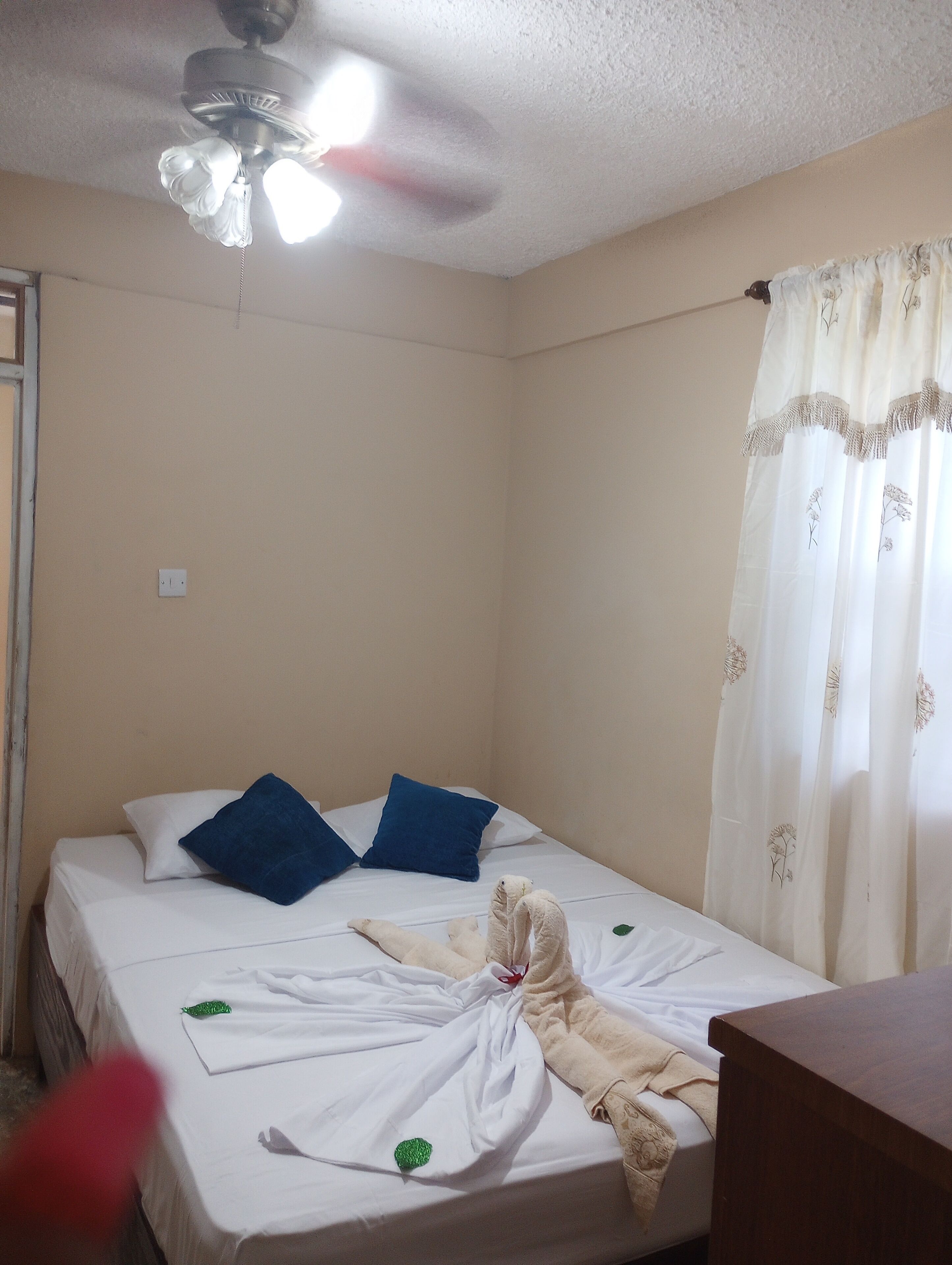Une chambre d’hôtel avec un lit, un ventilateur de plafond et une fenêtre avec des rideaux.