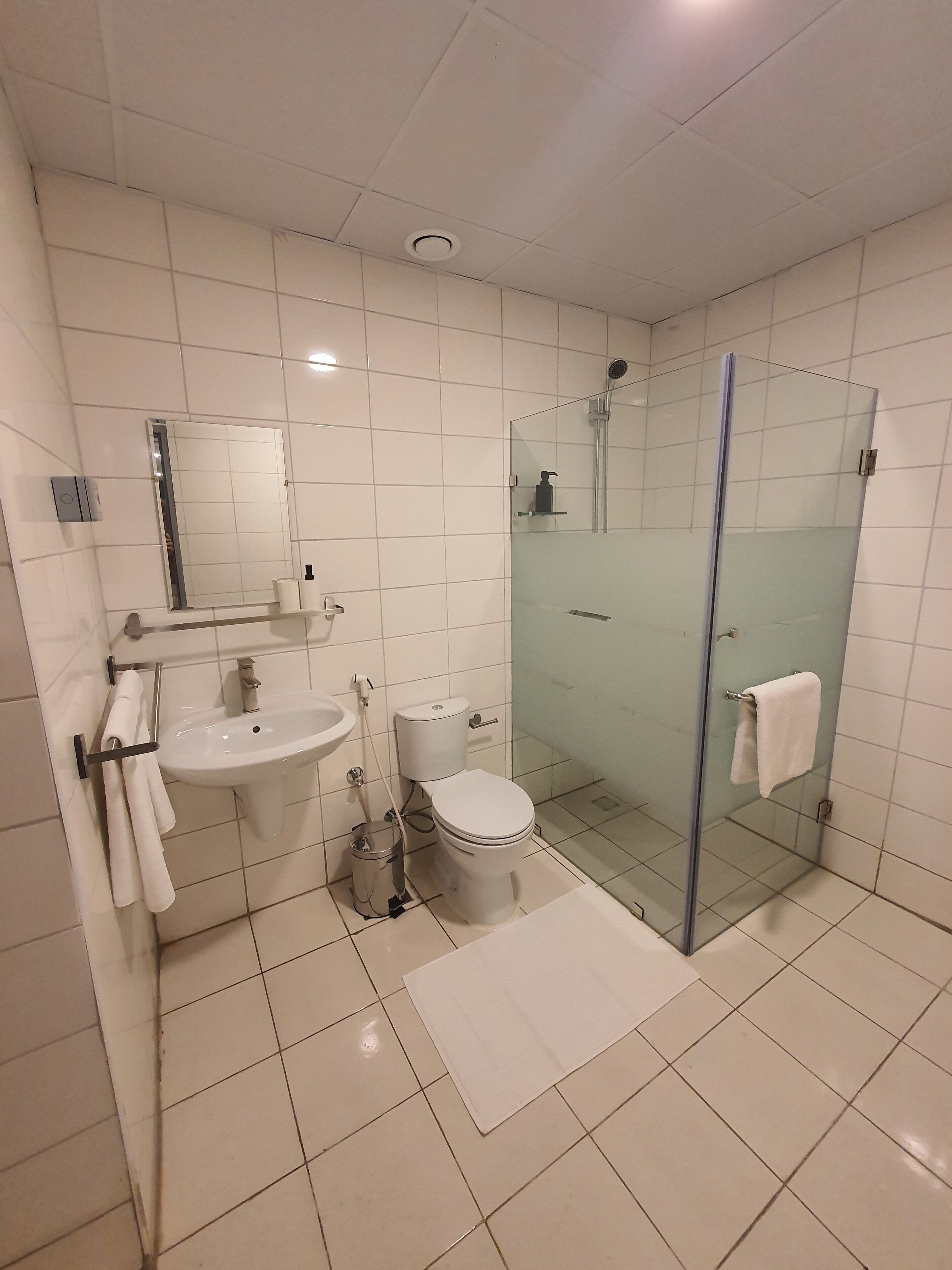 Un baño moderno con ducha envuelta en vidrio, lavamanos y un inodoro.