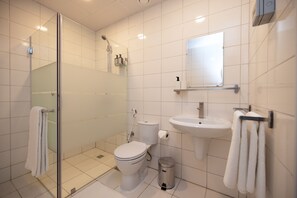 A modern bathroom with a glass shower enclosure, a toilet, a sink, and a mirror.