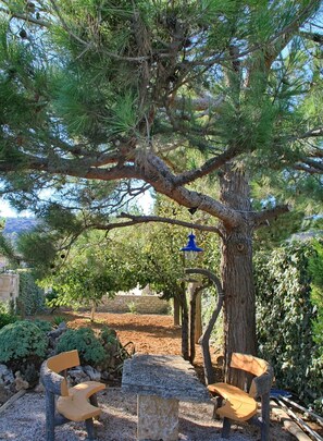 Sit and unwind in this serene outdoor seating area surrounded by lush trees and shrubs.