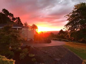 Property grounds - Hillside Oasis quiet peaceful near Akl Airport with bush valley city views  (Drury)