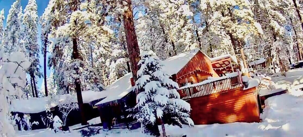 Imagem do perfil do anfitrião