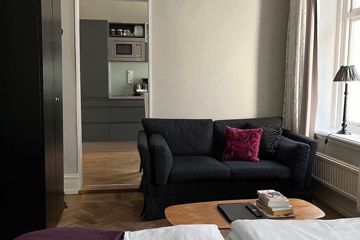 Estudio clásico | 1 habitación, decoración personalizada y muebles diferentes