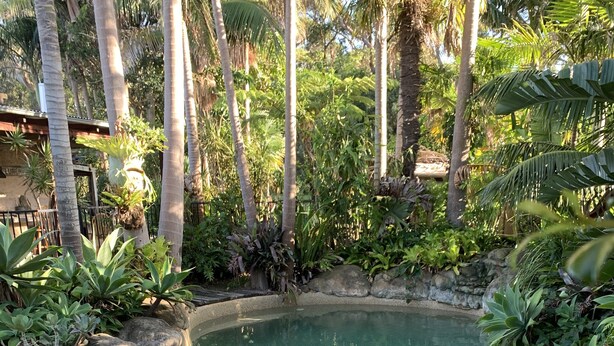 Une piscine circulaire bordée de petits galets, entourée de plantes tropicales et de palmiers.