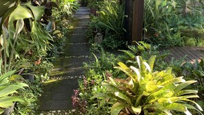 Un sentier de jardin surmonté d’une pergola en bois, entouré de différentes plantes et bordé d’un chemin en pierre.