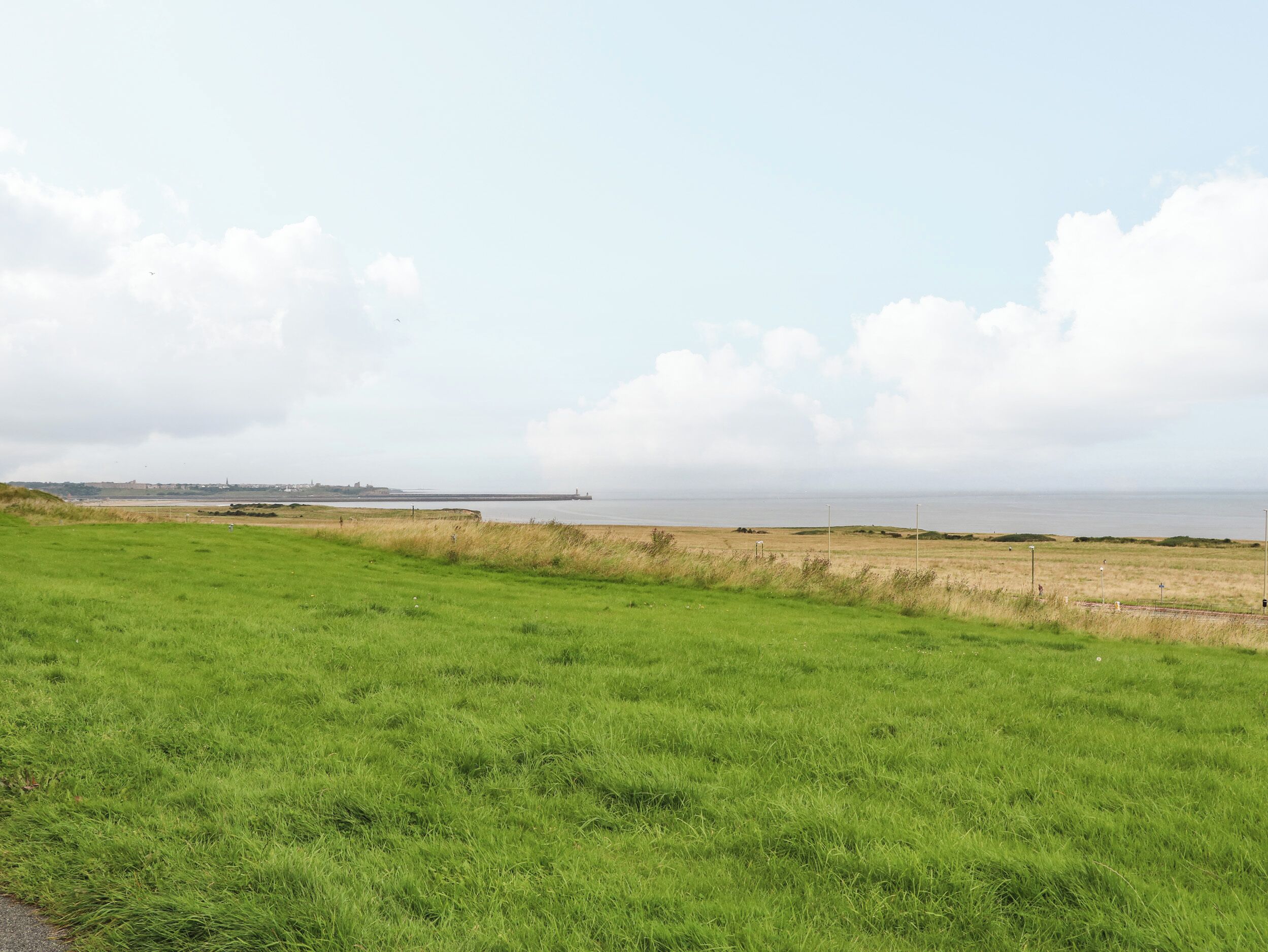 A grassy field with a distant view of the sea and a lighthouse.