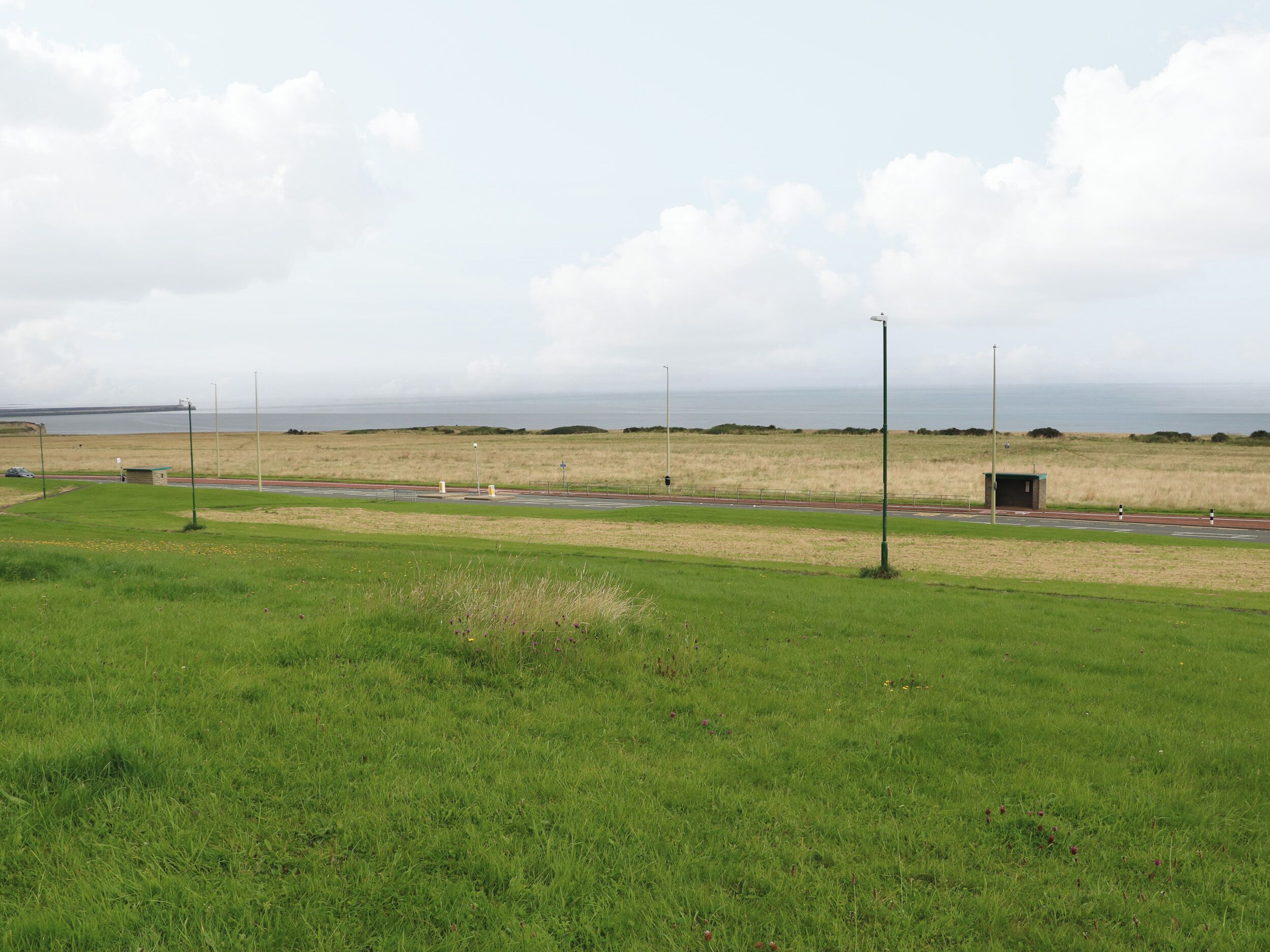A grassy field with a road and a small building in the distance.