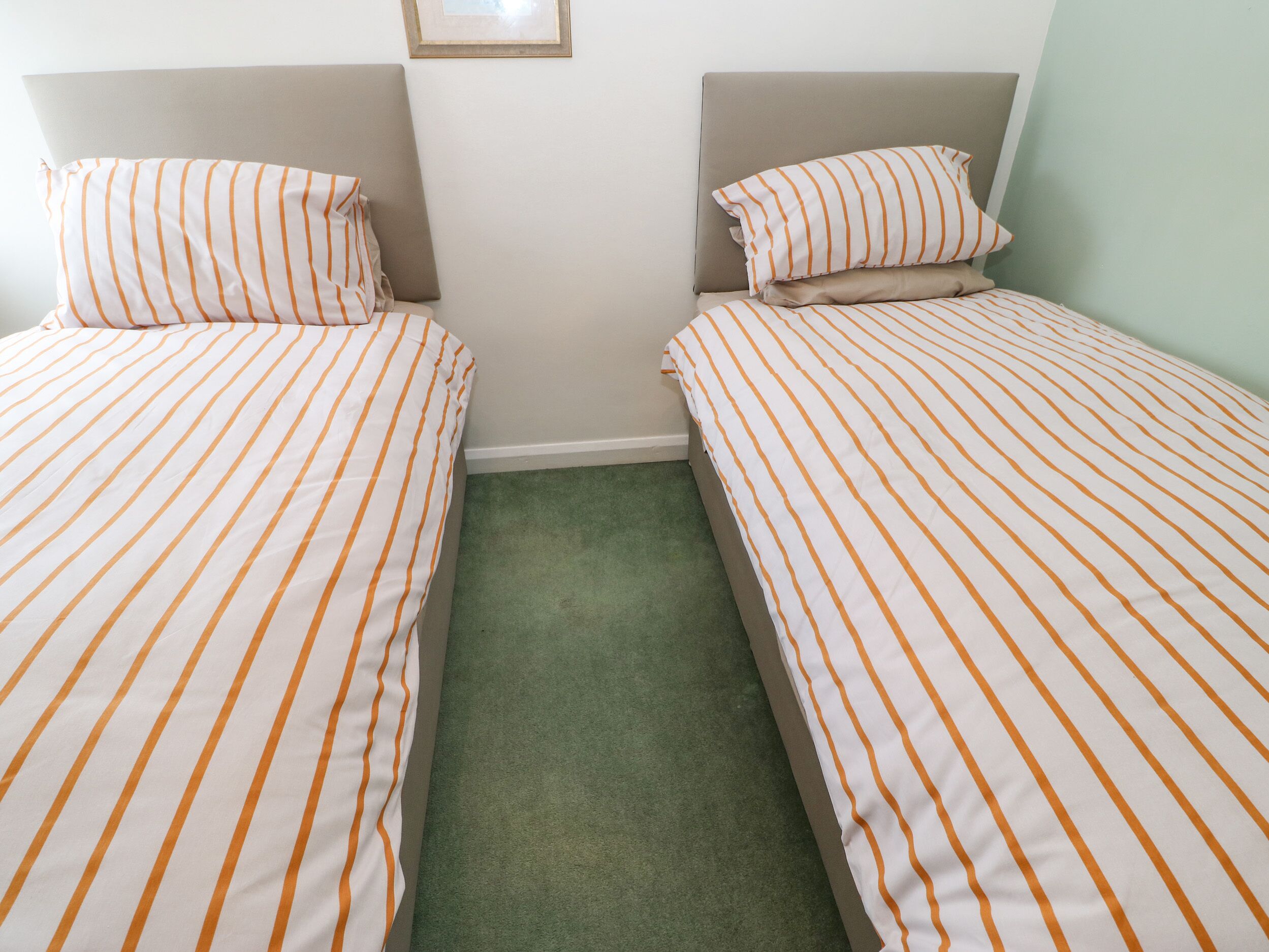 A twin room with two beds, each with striped bedding, a green carpet, and a framed picture on the wall.