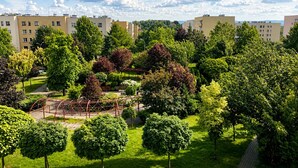 A residential area with apartment buildings, green lawns, and trees.