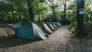 Shared Tent (2 People) | View from room