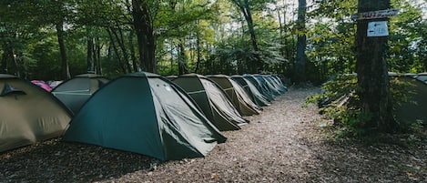 Eenvoudige tent | Kameruitzicht