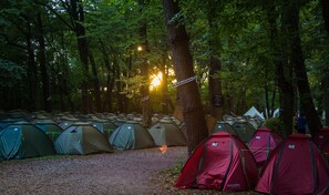 A forest campsite with multiple tents arranged in rows, surrounded by trees. - Munich Central Camping (Munich)