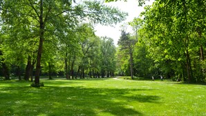 A park with a grassy path, trees, and benches. - Munich Central Camping (Munich)