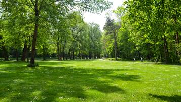 Aire de pique-nique/barbecue