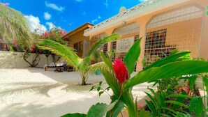 Garden - Villa Orchid Beach Guest House (Bwejuu)