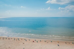 On the beach - New Heated Pool & Hot tub!  Palm Tree Escape! (Galveston)