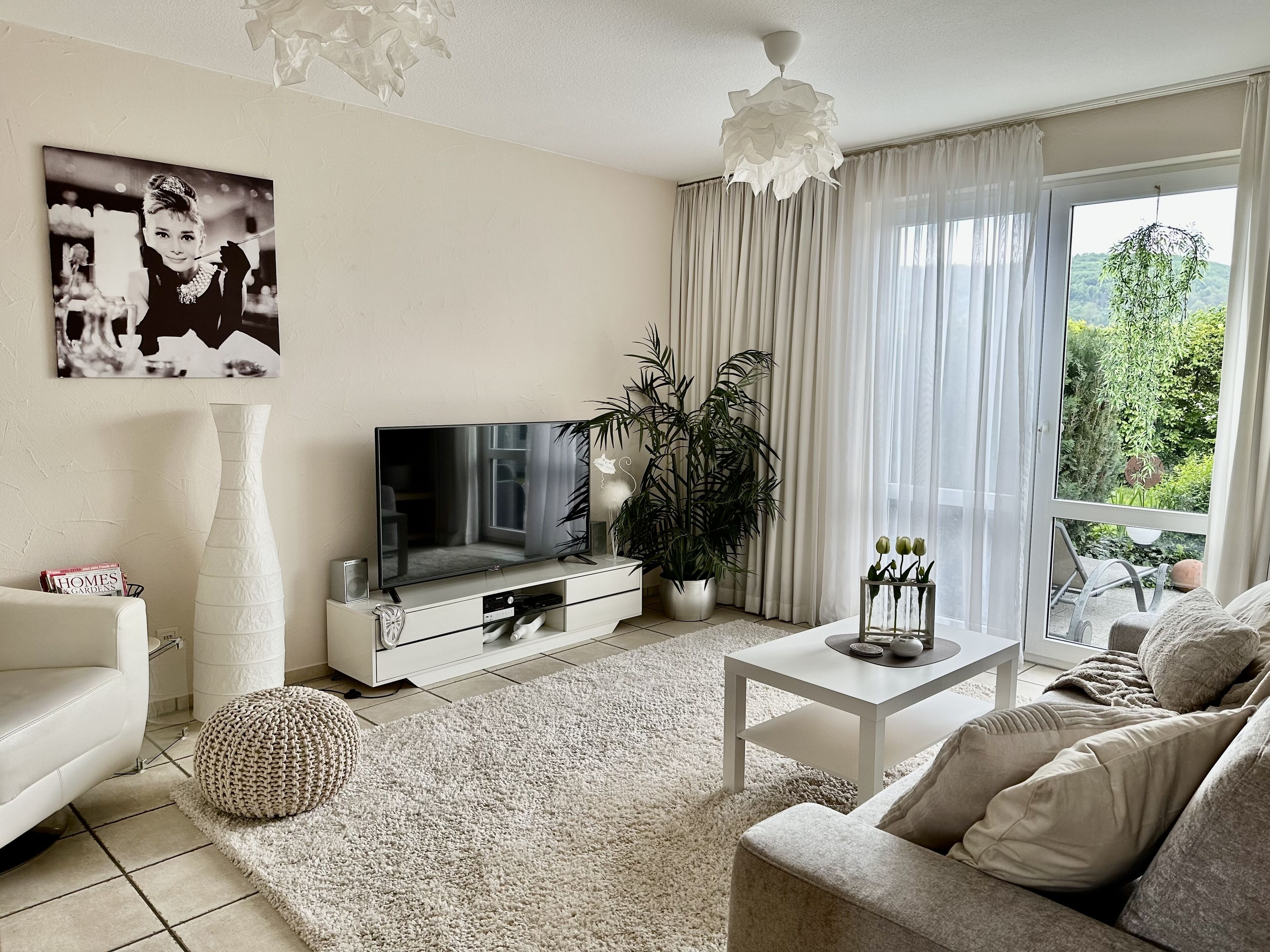 Televisión y libros 