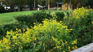 Zona residencial amb una casa, un jardí amb gespa i plantes de flors grogues.
