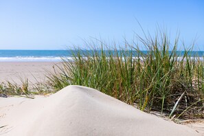 A sandy beach with grass in the foreground and a clear blue sky. - Esplanade Escape (Yeppoon)