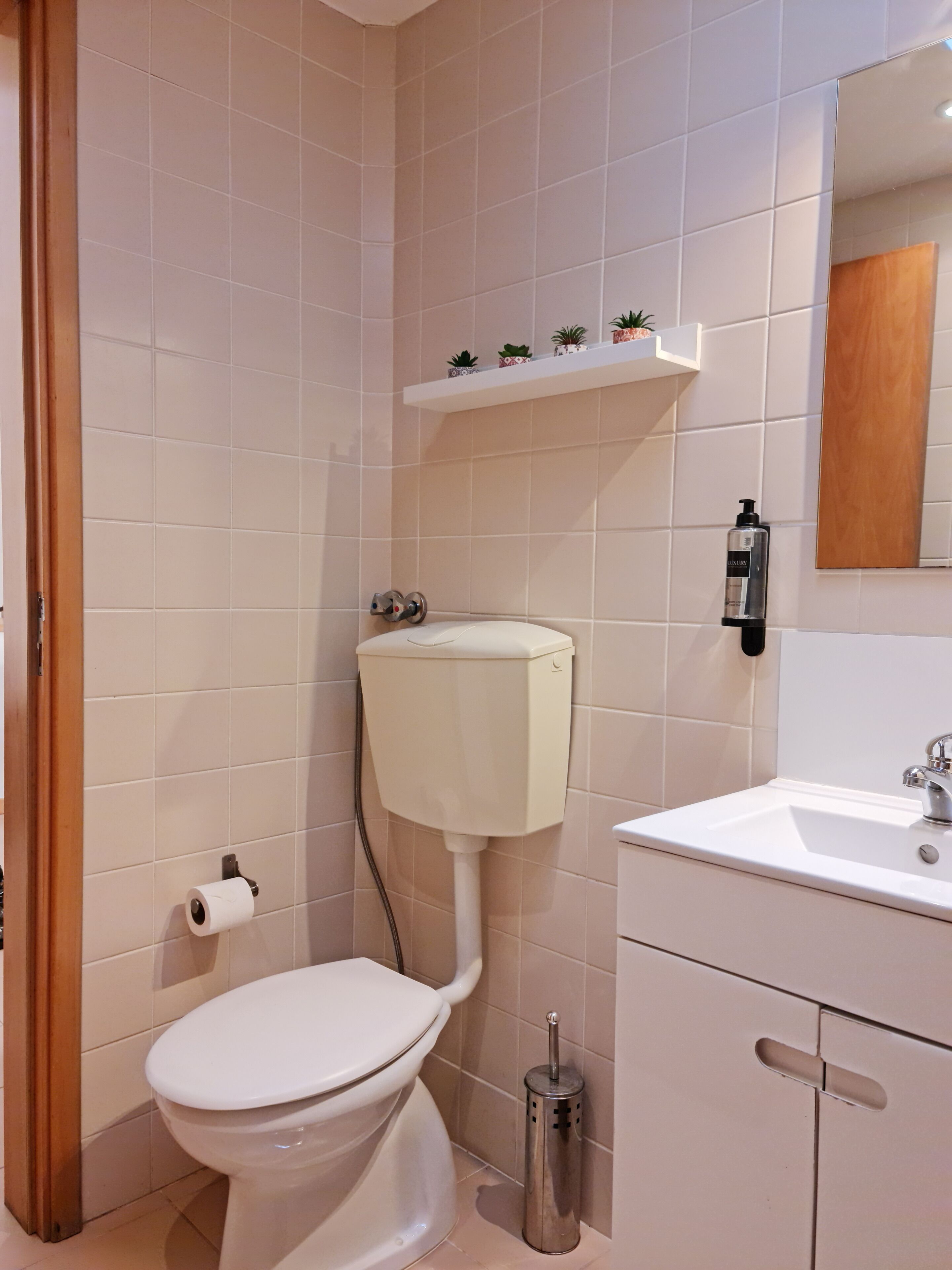 A bathroom with a toilet, a sink, a mirror, and a shelf with small plants.