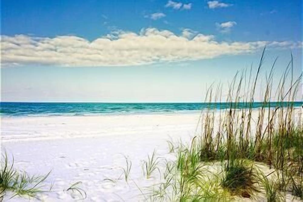 Pass a grille Gulf Way Beachfront 19