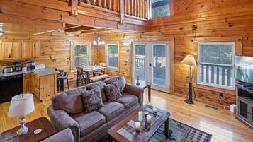 Télévision, cheminée, lecteur de DVD