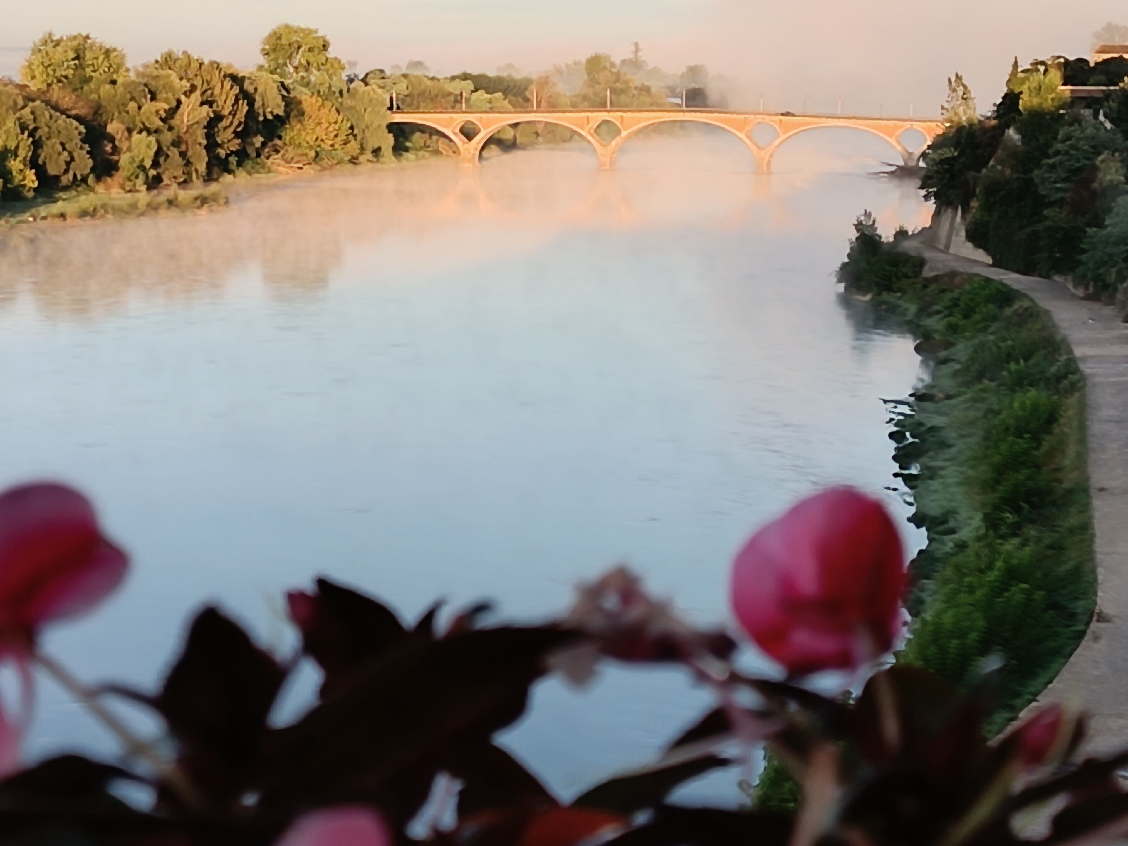 A river with a bridge, surrounded by greenery.