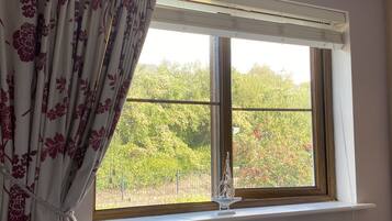 Classic Twin Room | View from room