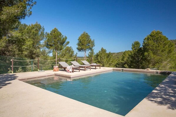 Piscina rectangular con sillas de descanso y una valla, rodeada de árboles.