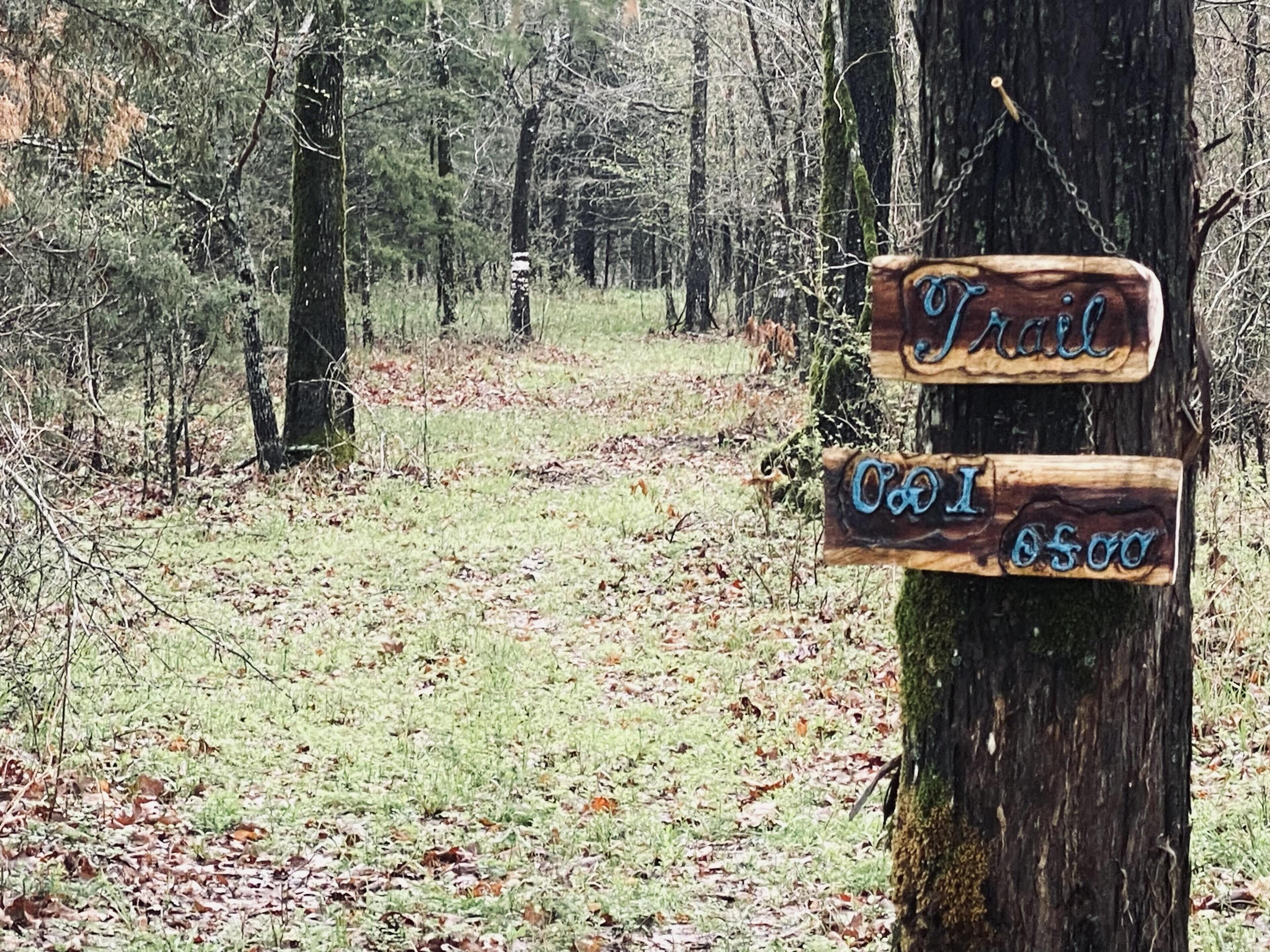 Tentrr Signature Site - Star View