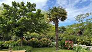 Ein Garten mit einem Holztisch für ein Picknick, verschiedenen blühenden Pflanzen und einer Palme.