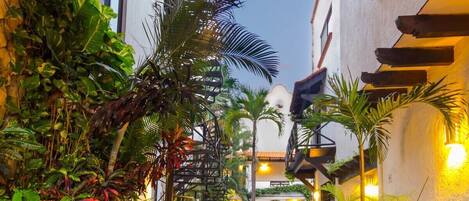 Enceinte de l’hébergement