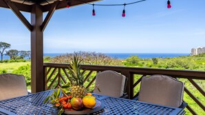 A covered outdoor dining area with a table set with fruit, overlooking a scenic landscape.