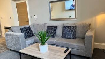 Fernseher, Arbeitsbereiche