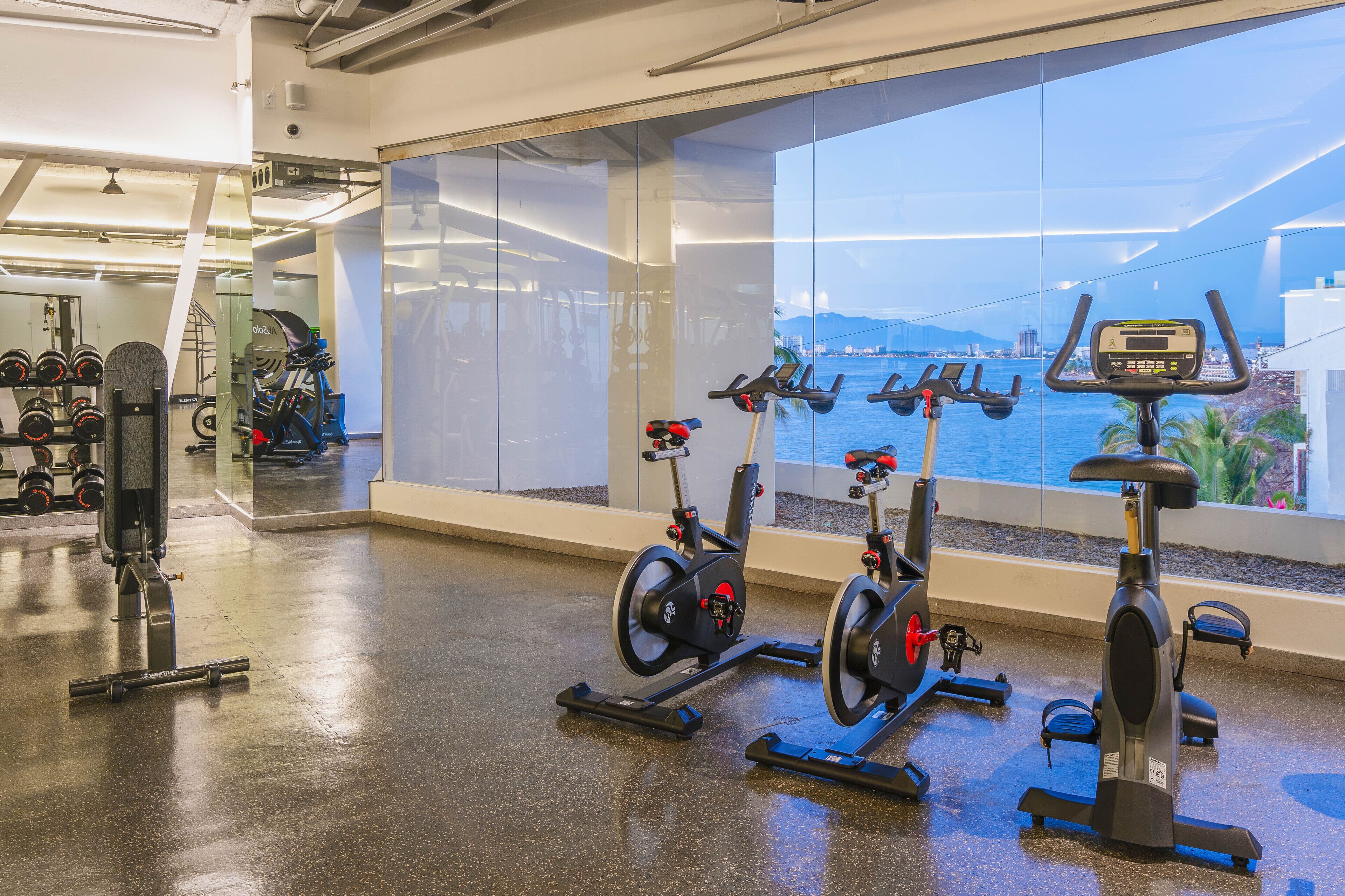 A gym with cardio machines, weights, and a large window with a view of a body of water.