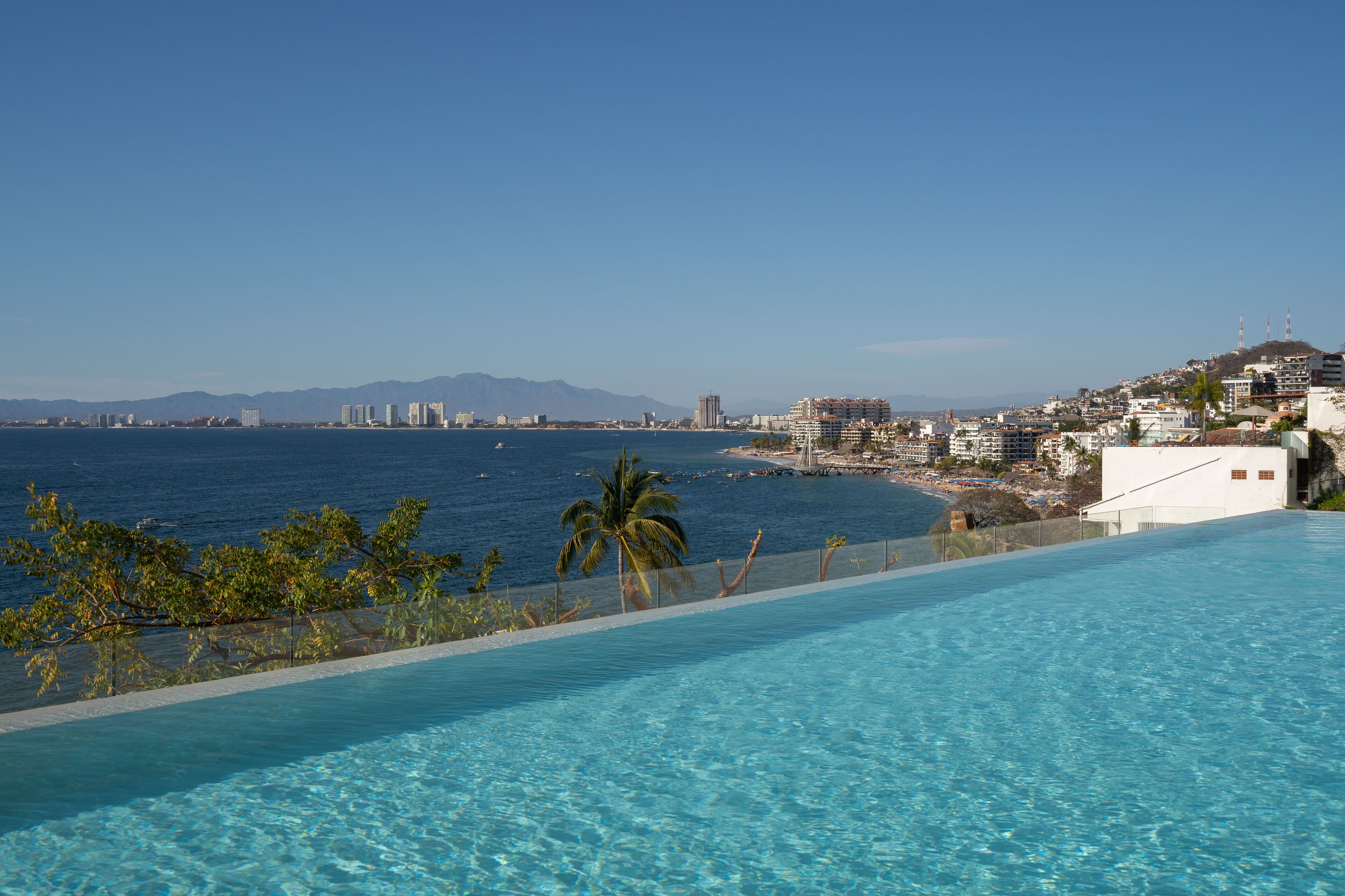 Una piscina con agua azul cristalina, una palmera y vistas de un paisaje urbano costero con edificios y montañas al fondo.
