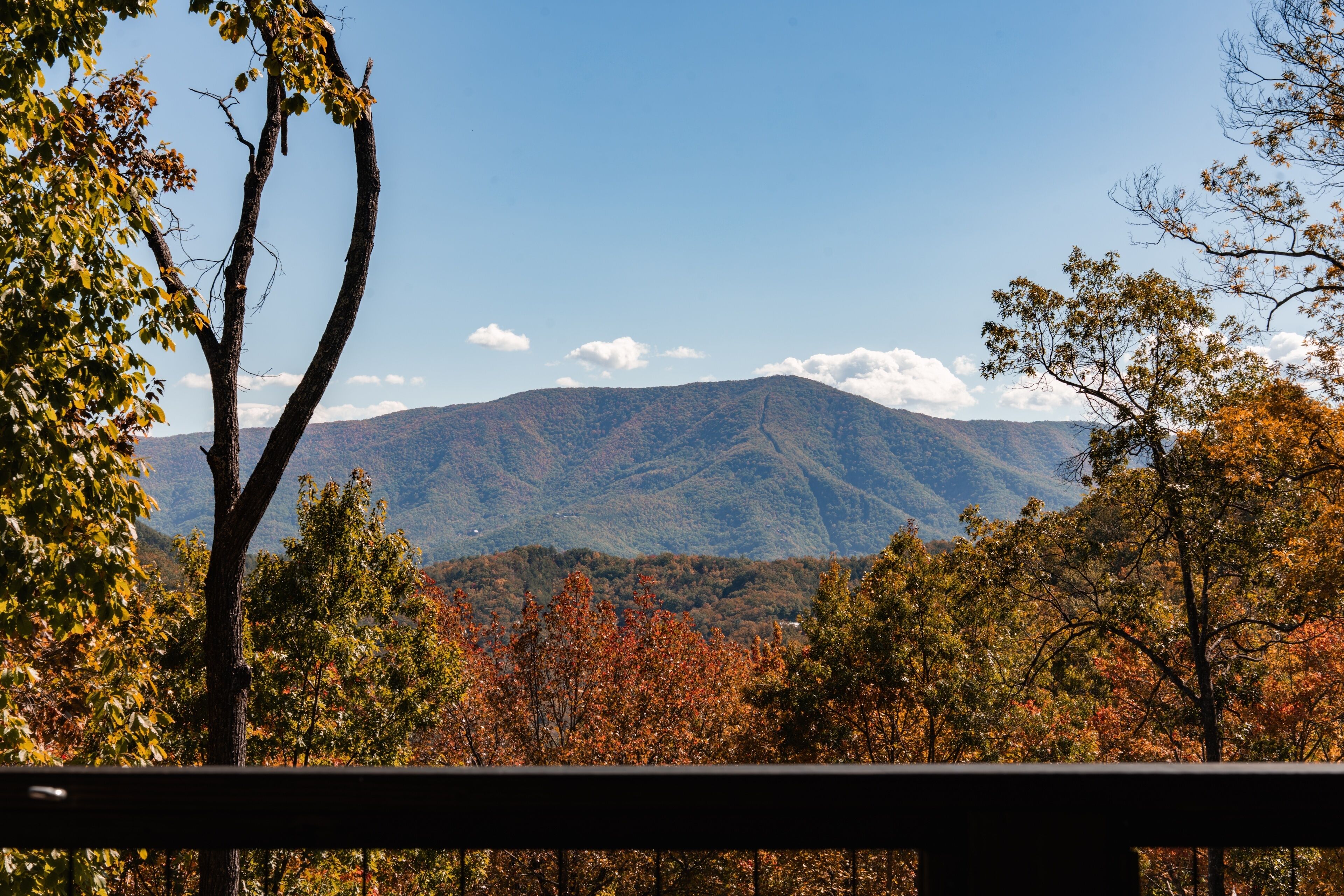 Cabin, 3 Bedrooms | View from property