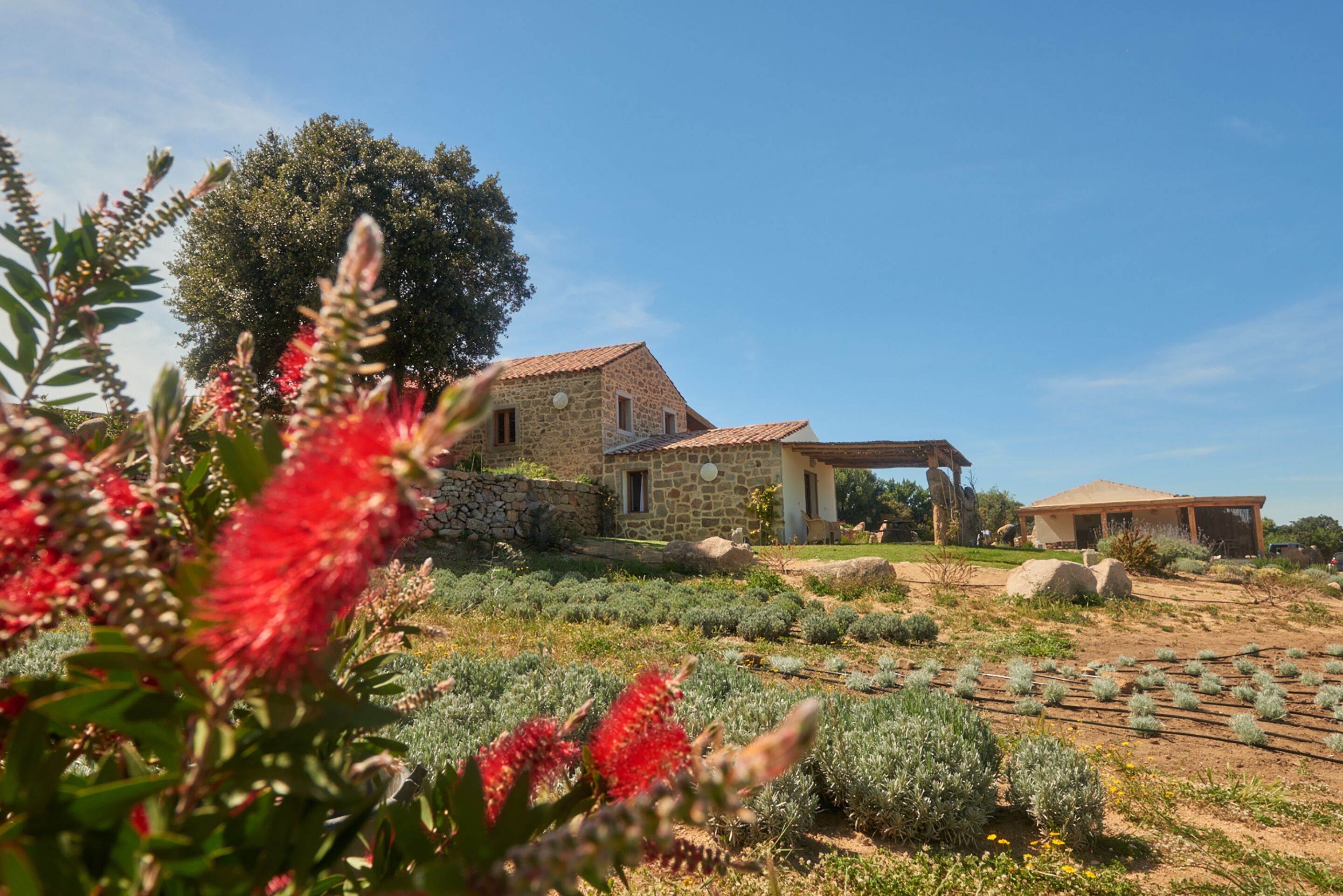 Tenuta Sant'Antonio