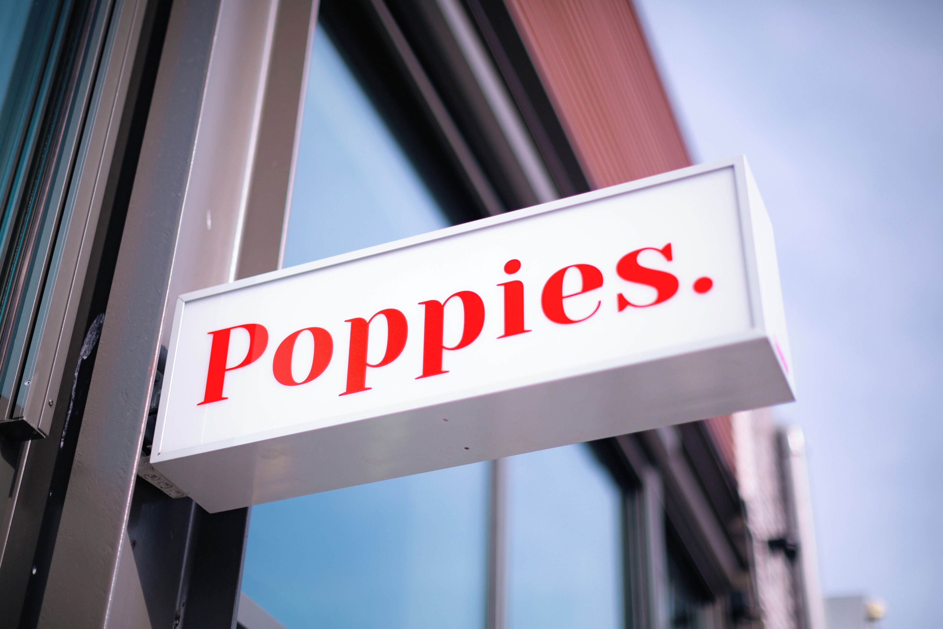 Foto - Poppies