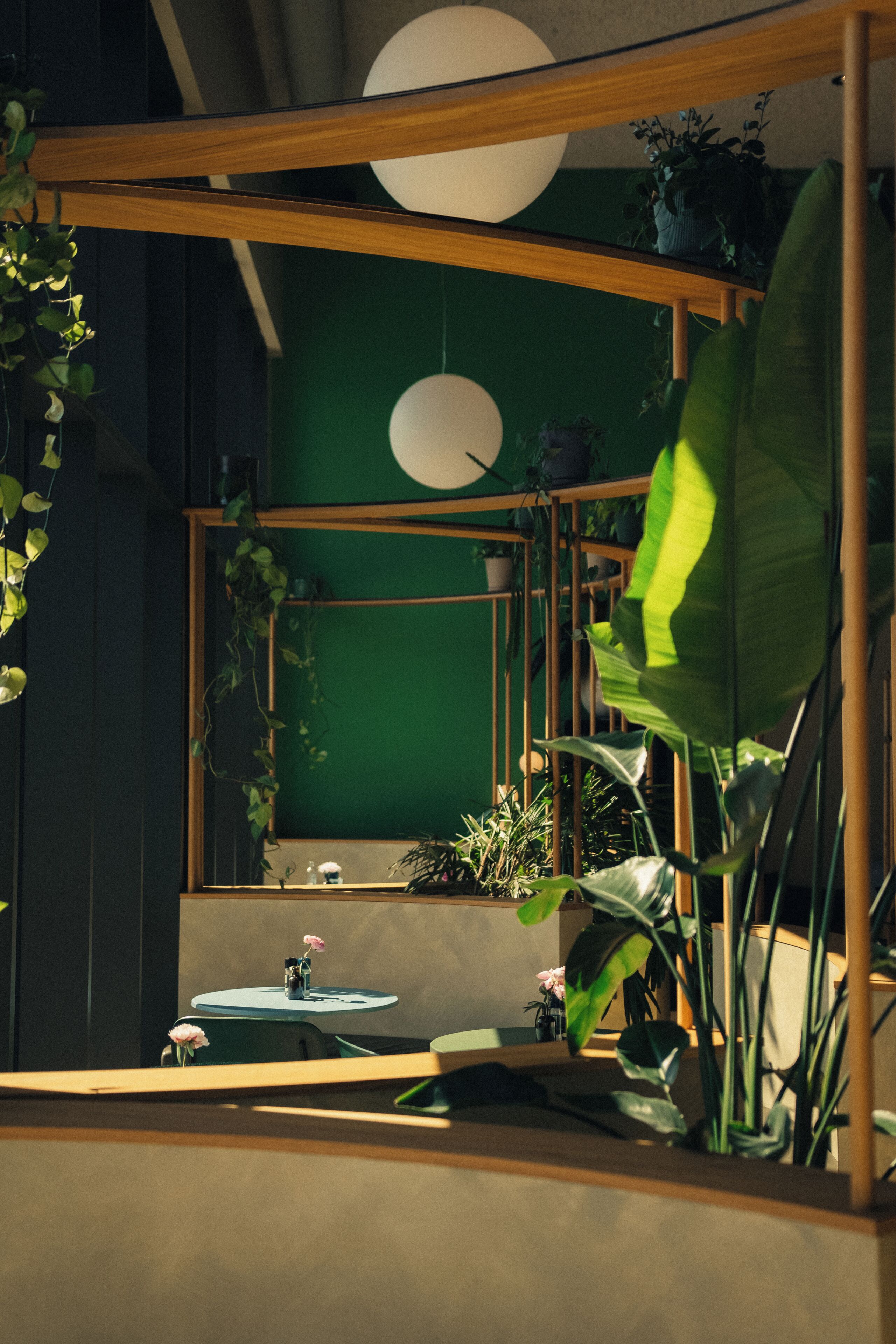 Una habitación con una pared verde, un espejo redondo y un estante de madera con plantas.